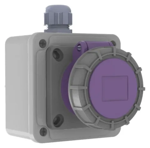 16A 2P 24V IP67 CEE Wall-Mounted Socket